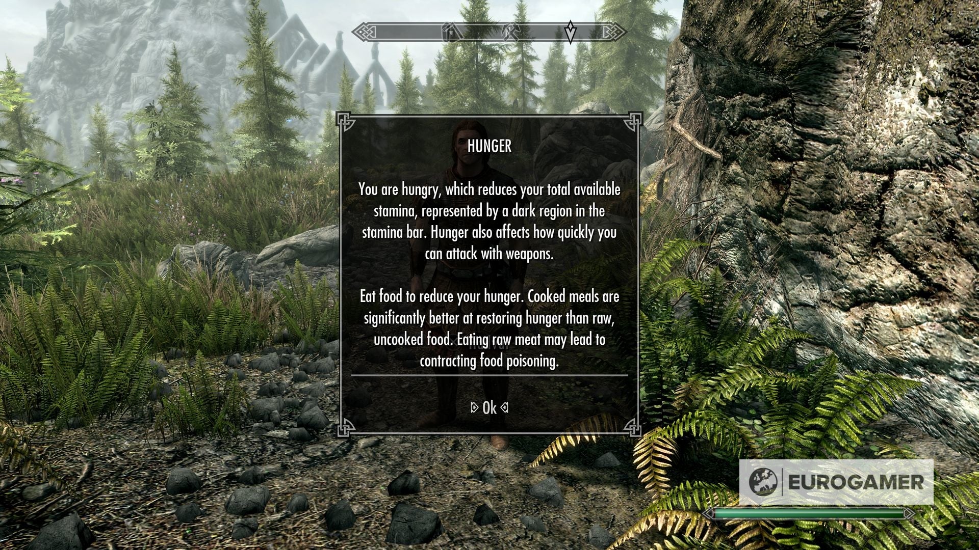 Skyrim survival mode How to enable survival mode and survival mode